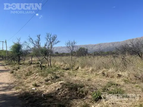 Terreno en Venta 25  mts Frente