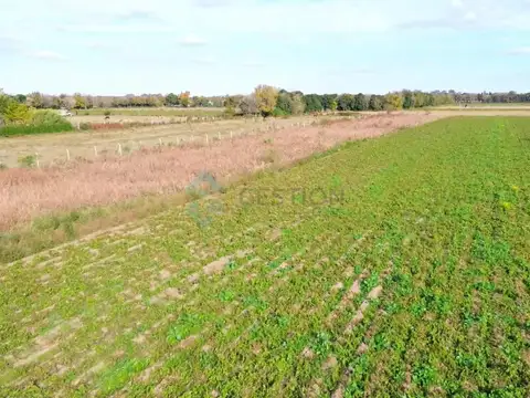 Terreno en Venta de 167000,0 m2