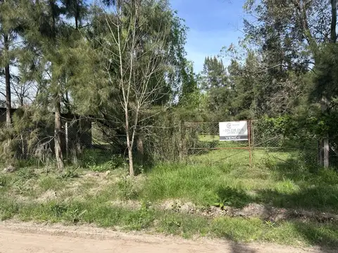 303 46 y 48 , Piso 0