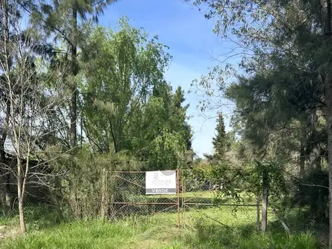 303 46 y 48 , Piso 0