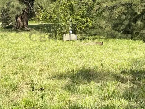 Terreno en Venta en Estación Gómez, USD 42.000