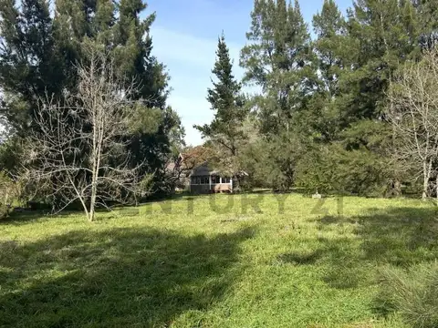 Terreno en Venta 50  mts Fondo