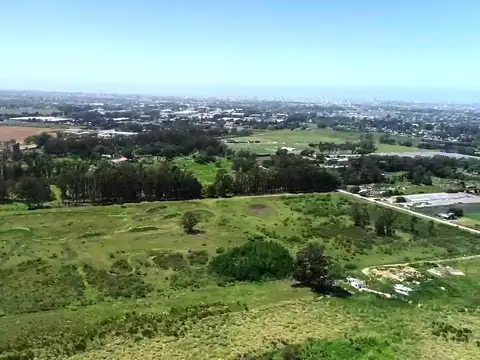 Mar del Plata