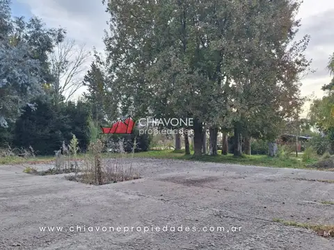 Italia Y Belgrano 600