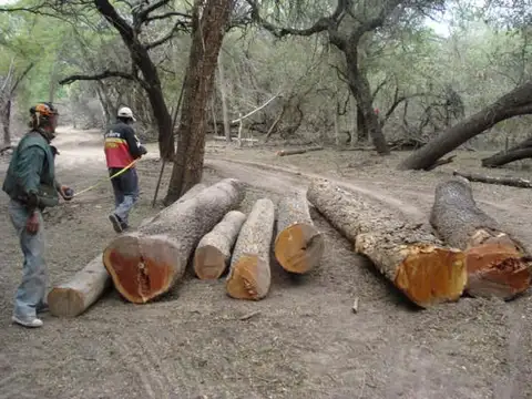 Campo en Venta de 9.999  ha