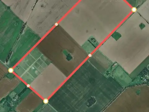 155 Ha. Excelente campo -Suelo 1  Se encuentra ubicado en ruta interna que conecta Alsina y Baradero