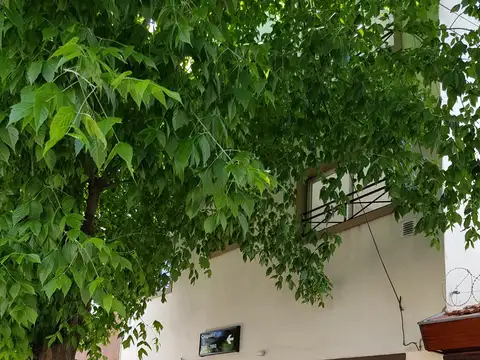 TIPO CASA AL FRENTE 3 AMB CON TERRAZA EN DUPLEX 2 BAÑOS