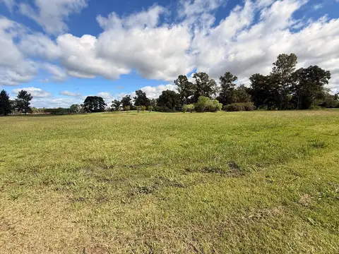 Terreno en Venta de 1610,0 m2