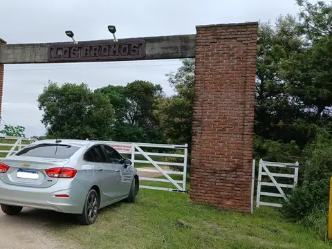 Terreno en Venta en Colonia Santa Ana, USD 50.000