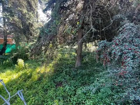 Terreno en Venta 15  mts Frente