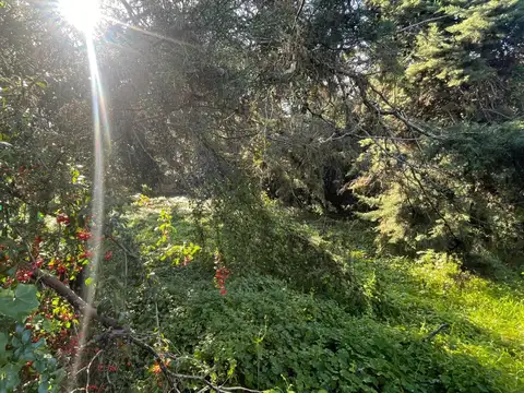 Terreno en Venta en Valeria Del Mar, USD 63.000