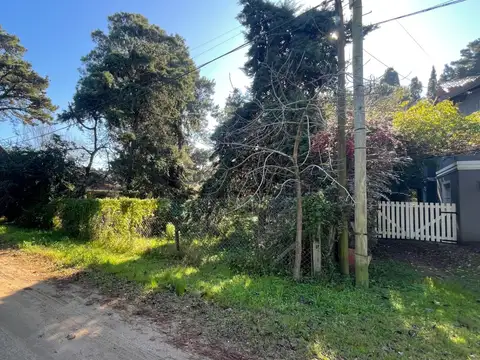 Terreno en Venta 31  mts Fondo