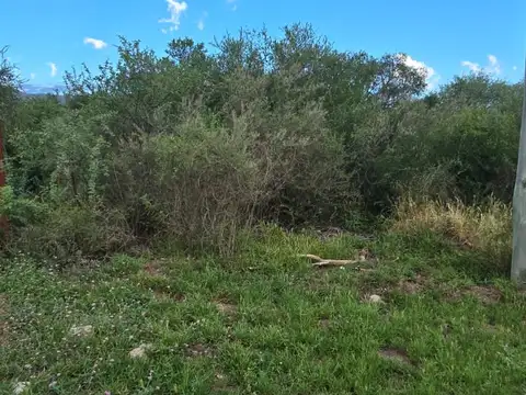 Calle publica Media cuadra a boulevard olivera