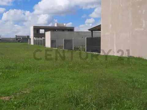 Pablo Neruda 3100, Piso 0