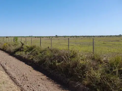 Campo  230 has en  Bella Italia