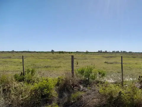 Campo  230 has en  Bella Italia