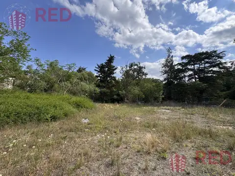 Avenida General Paz , Tanti