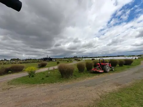 Laguna De Las Pampas, S. Andres De Giles