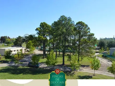 137 entre 90 y 96 2900, Piso 0