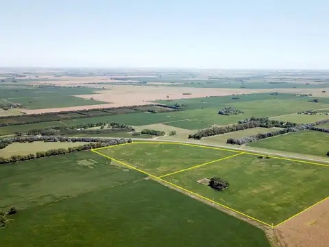 Chacra sobre Ruta 41 en Areco