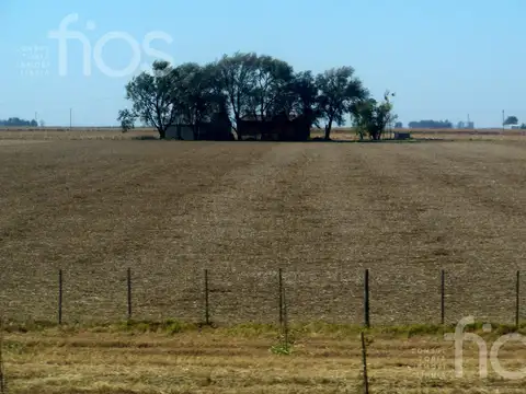 Quebrada de Andino II