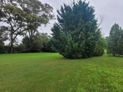 Terreno en Venta en Ranelagh, USD 42.000