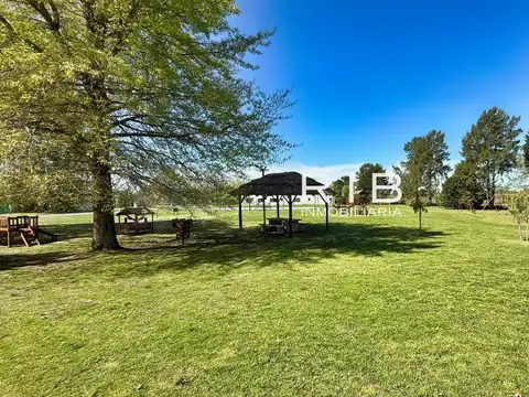 Los Alcanfores Pilar