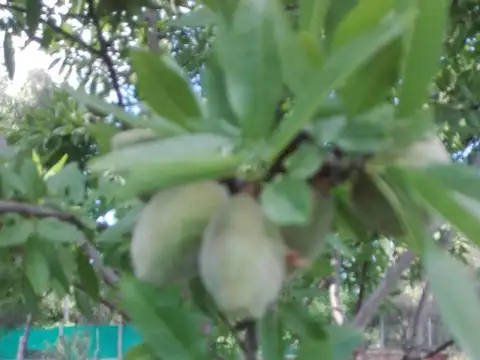 Casa en Venta 15 años