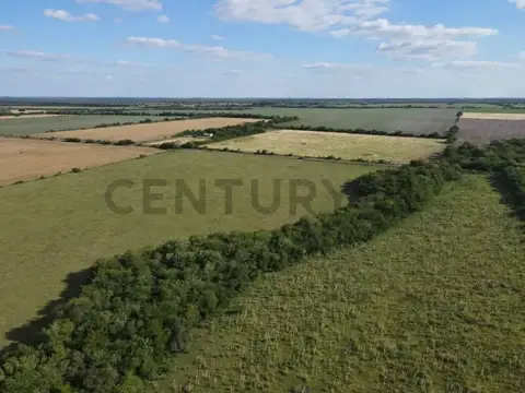 ALQUILER 1447 HECTAREAS EN ENTRE RIOS