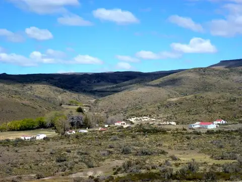 Campo - Lago Buenos Aires
