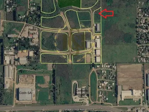 RUTA 101 100