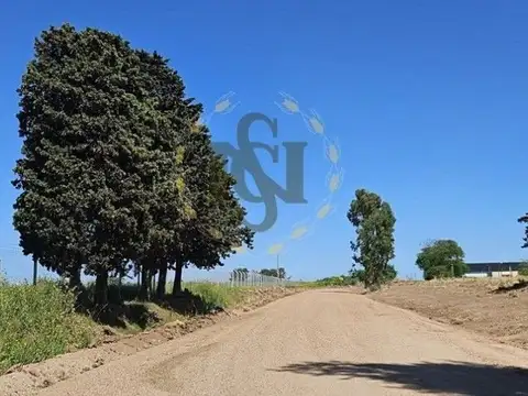 RUTA 101 100