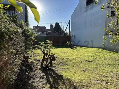Lote 217 m² sobre Avenida 520, Tolosa