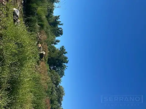 CLL. Venta campo 7917m2 en Las toscas, Loma Verde, Escobar. Ex cantera de Lopes
