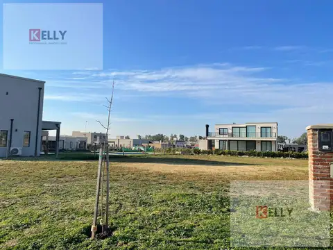 Terreno | Venta | Santa Elisa | Pilar del Este