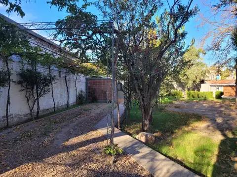 Local en Alquiler 35 años