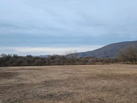 FINCA 15 HA + CASA 3 DORM VENTA RP 26 CERRILLOS