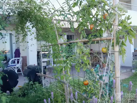 Departamento en Alquiler Temporal con 2 cocheras