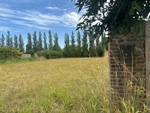 Terreno en Venta de 1000,0 m2