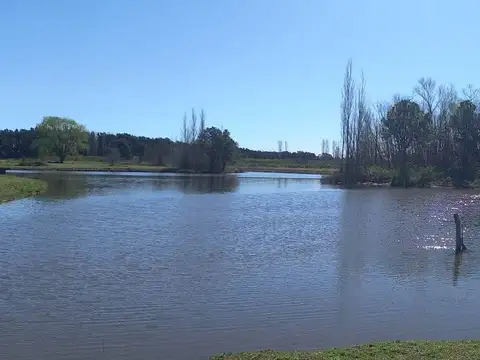 Casa en Alquiler de 3 dormitorios