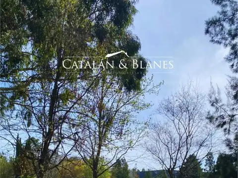 Terreno en Venta en La Plata, USD 45.000