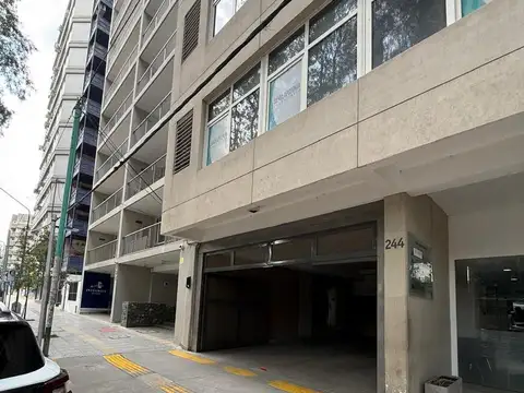 Diagonal 25 de Mayo al 200