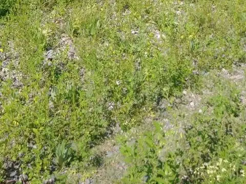 Terreno en Venta en La Toma, USD 9.500