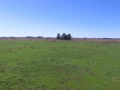Campo en venta en Magdalena