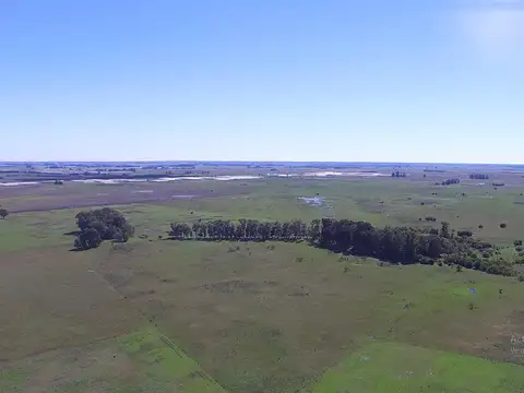 600 Has. Sobre Ruta 36