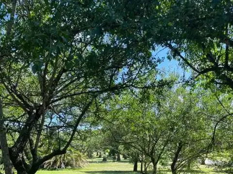 Lote Premium  Fondo Golf  1500m² Con Vistas A La Cancha