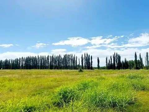 Terreno en Venta de 300,0 m2
