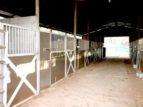 Luis María Drago al 400