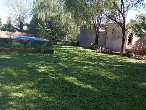 El Mate Y Las Margaritas S/n