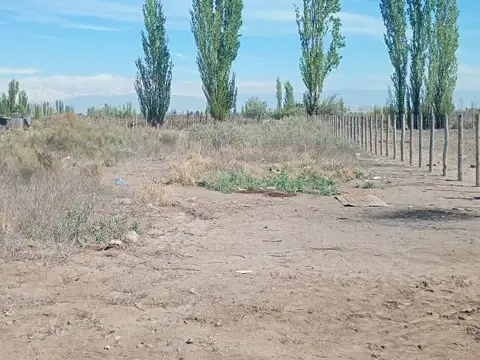 Las Margaritas al 1400